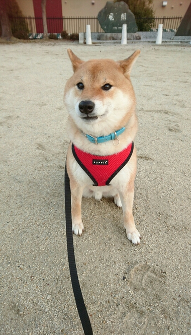 文句があるに違いない顔