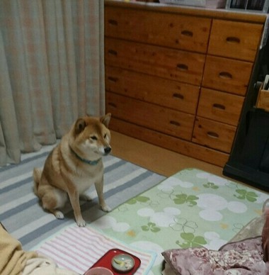 かい～の