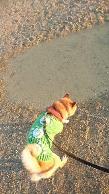 不思議だなー