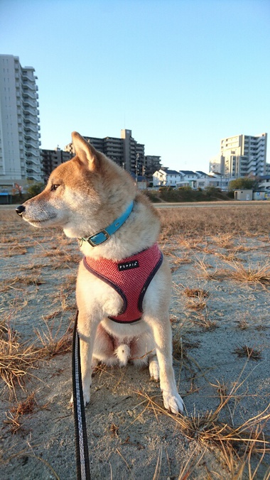 寝坊したー！