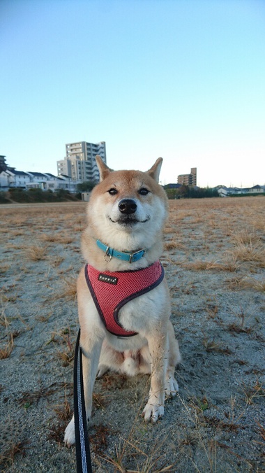寝坊したー！