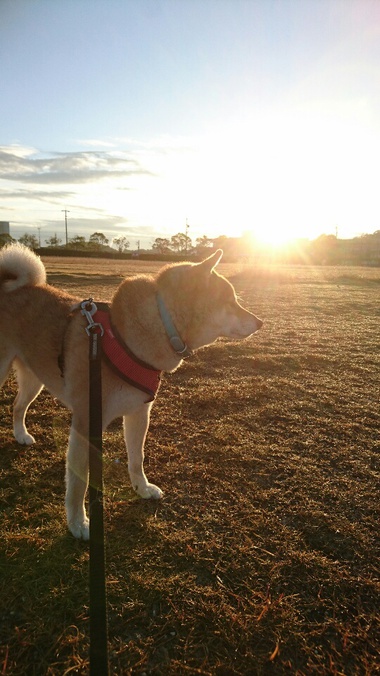 寝坊したー！