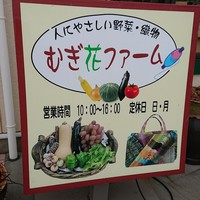 ♡むぎの花ファーム♡で買った野菜はなんだろう？(^_^;)【豊明市】