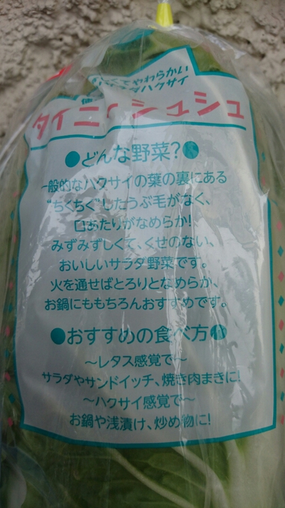 たけちゃんのサラダ白菜(#^^#)【タイニーシュシュ】