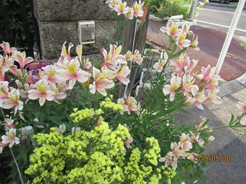 慌ただしい毎日・・・・