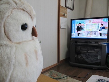 辛いニュースにこれで・・・