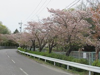 高速道路空いていました・・
