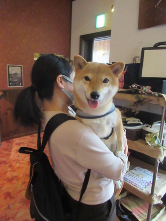 可愛い出会いが有りました