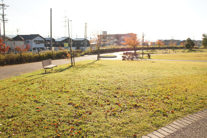 充実！広々！運動場・大きな遊具・マレットゴルフコースがある公園【和合公園】豊田市京町