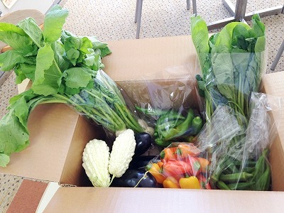 くらら農園さんの野菜BOX～豊田市松平地区から届く旬野菜～