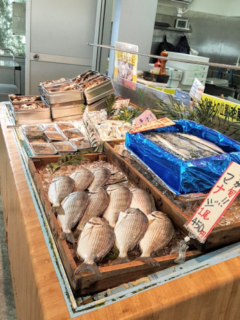 魚太郎で海鮮BBQ！（南知多）