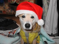 無有のクリスマス 2013/12/25 21:21:00