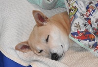 もう２月！ 2014/02/01 23:34:00