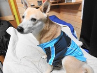 無有の不穏 2014/02/15 23:34:00