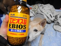 今、買ってきた！ 2014/03/10 20:28:56