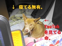 愛は勝つプロジェクト、再び 2014/03/11 16:08:10