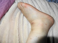 私の脚が・・・ 2014/03/29 04:03:00
