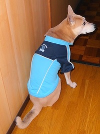 突然の雷雨に 2014/04/04 22:53:00