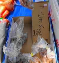 昨日から 2014/04/20 18:44:00