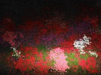 ツツジ・ＴＨＥ・ライトアップ 2014/04/25 21:46:07