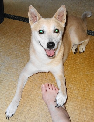 無有が・・・