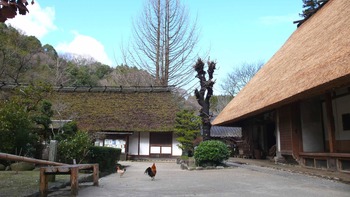 大人の本気