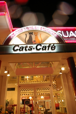 巨大パフェ in 猫カフェ