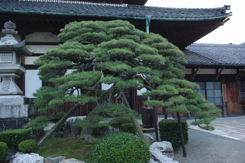 豊川旅行記～曽我の軒、豊川稲荷編