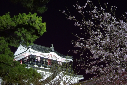 今回こそは旬のネタ！！ ～岡崎公園後編