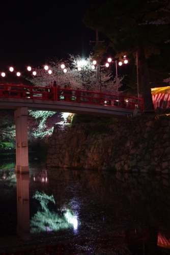 今回こそは旬のネタ！！ ～岡崎公園後編