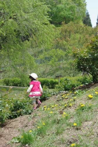 気が早すぎた花フェスタ記念公園