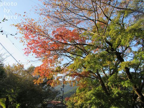 京都大原三千院
