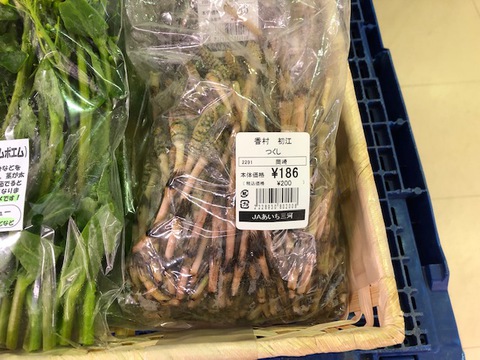 春のたより、つくし入荷！