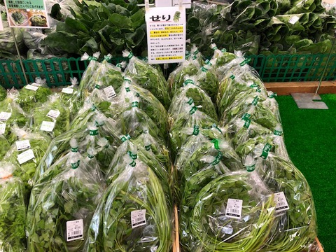 春の味覚第2弾！！セリが入荷しました