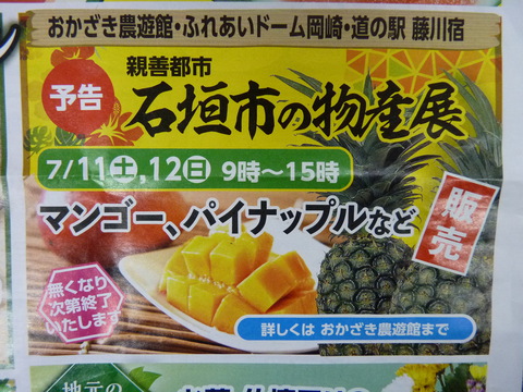 石垣市の特産品マンゴー等販売します！