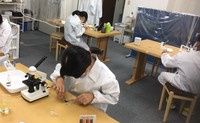 愛知県公立高校入試問題も小学生が簡単に！観察・実験で解決！