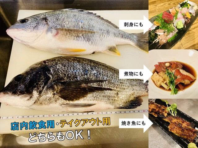 釣った魚を持参で調理してくれるお店 岡崎市で新鮮な魚を味わいたいなら 四季彩食あぐら に決まり テイクアウトもok 岡崎市の創業 起業 中小企業の売上アップ 販路拡大を応援 Oka Biz オカビズ スタッフ日記