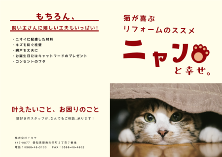 碧南の工務店イタヤが猫の日に「ニャンと幸せ」リフォーム！猫
