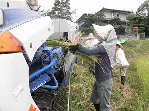 グリーンママン自然栽培田んぼ収穫祭２０１８