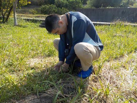 散歩中に虫、発見！