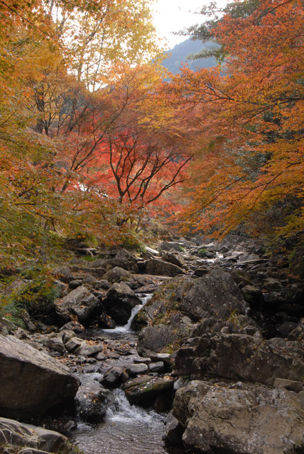岡崎の風景－くらがり渓谷の紅葉