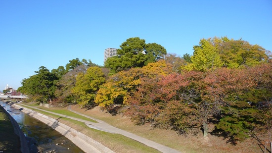 岡崎城の周りは色モザイク
