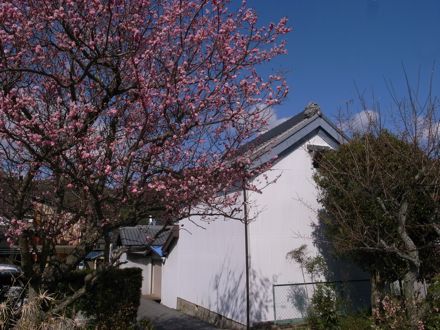 藤川の春－称名寺