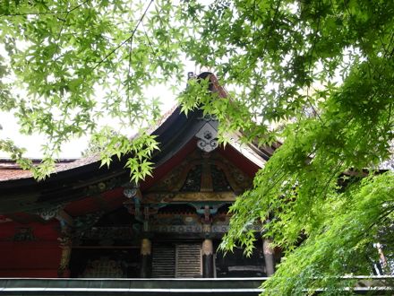 新緑の六所神社