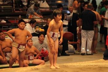 第８回全国少年相撲選手権大会　写真館