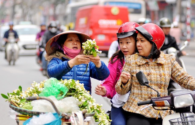 ベトナムジャポンの花