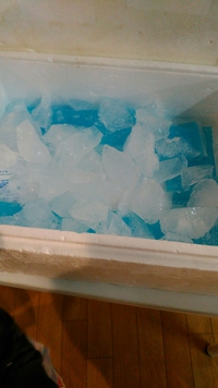 一万年前の氷とおしゃべり