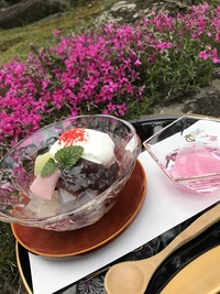 【数量限定！！】桜あんみつ 2019/04/25 17:14:30