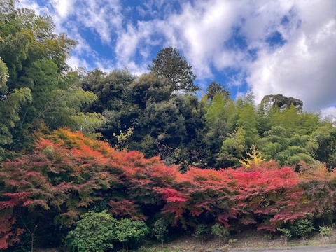 岡崎市　真福寺