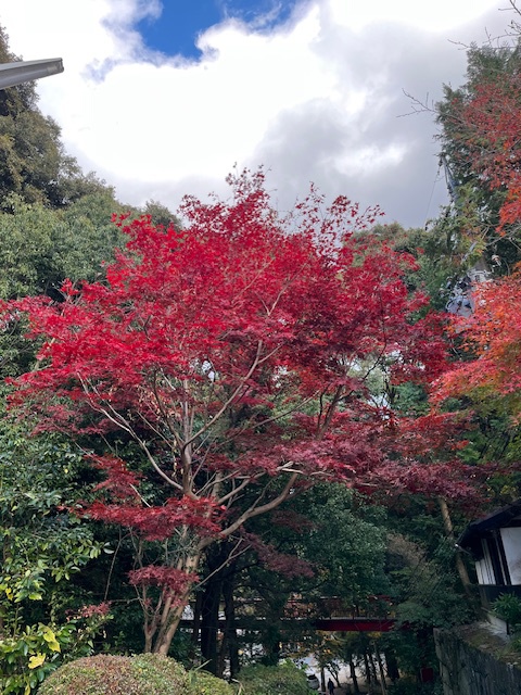 岡崎市　真福寺